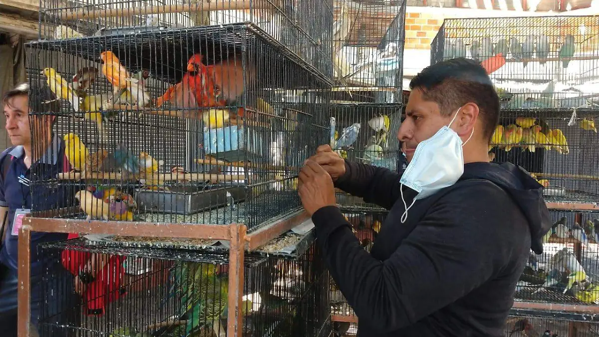 Guillermo Nieto vende aves en el Mercado San Juan de Dios